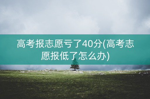 高考报志愿亏了40分(高考志愿报低了怎么办)