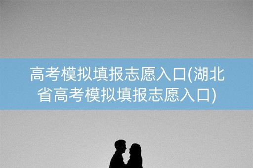 高考模拟填报志愿入口(湖北省高考模拟填报志愿入口)