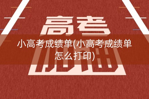小高考成绩单(小高考成绩单怎么打印)