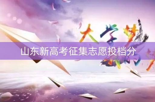 山东新高考征集志愿投档分