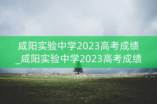 咸阳实验中学2023高考成绩_咸阳实验中学2023高考成绩如何