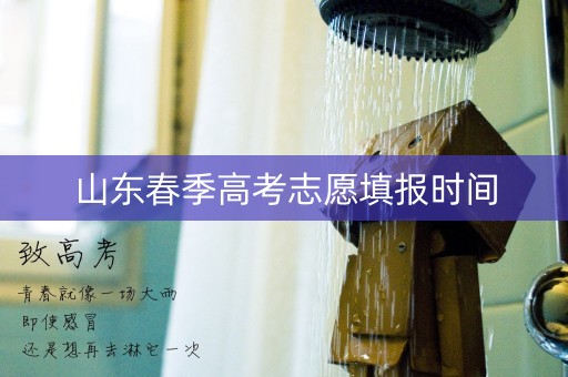 山东春季高考志愿填报时间