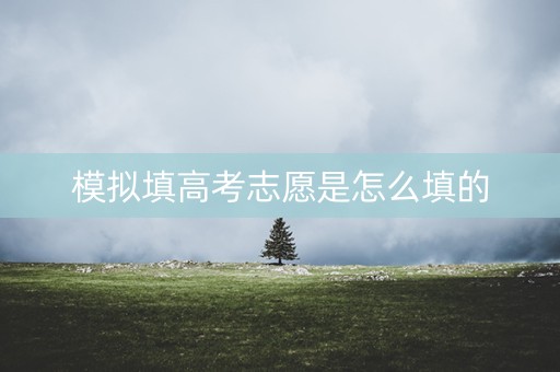 模拟填高考志愿是怎么填的