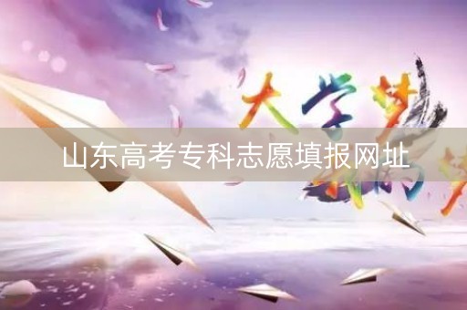 山东高考专科志愿填报网址