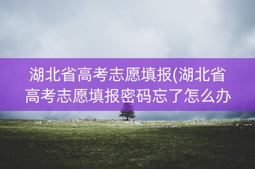 湖北省高考志愿填报(湖北省高考志愿填报密码忘了怎么办)