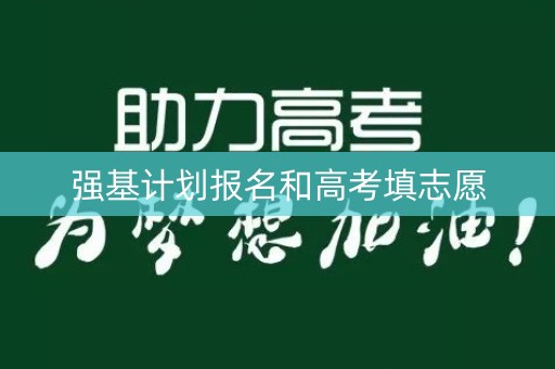 强基计划报名和高考填志愿