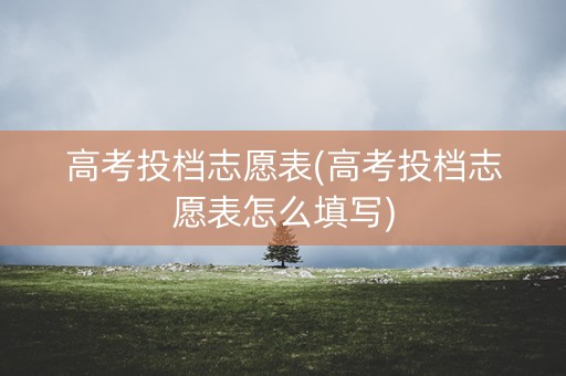 高考投档志愿表(高考投档志愿表怎么填写)