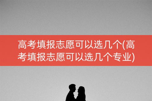 高考填报志愿可以选几个(高考填报志愿可以选几个专业)
