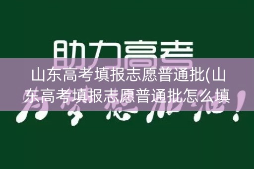 山东高考填报志愿普通批(山东高考填报志愿普通批怎么填)
