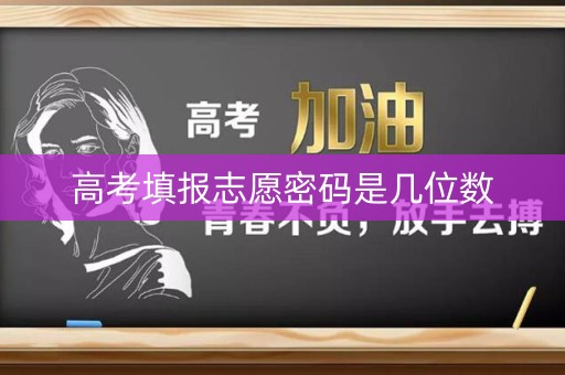 高考填报志愿密码是几位数