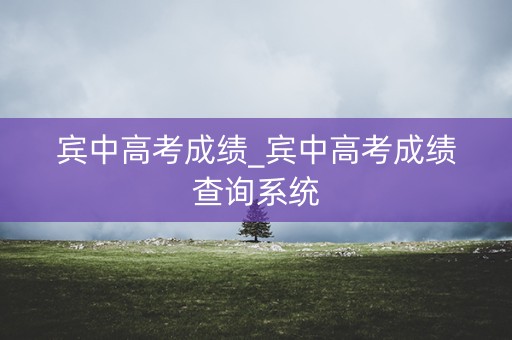 宾中高考成绩_宾中高考成绩查询系统