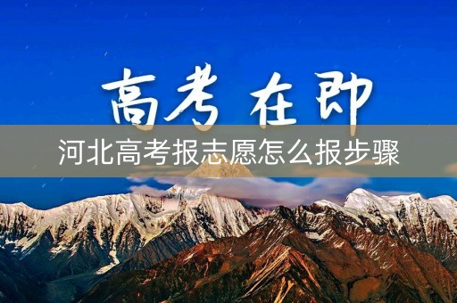 河北高考报志愿怎么报步骤