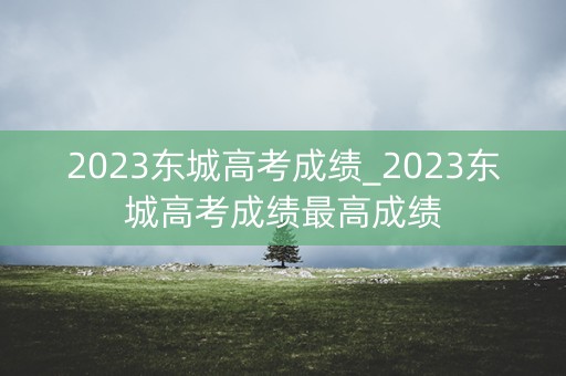 2023东城高考成绩_2023东城高考成绩最高成绩