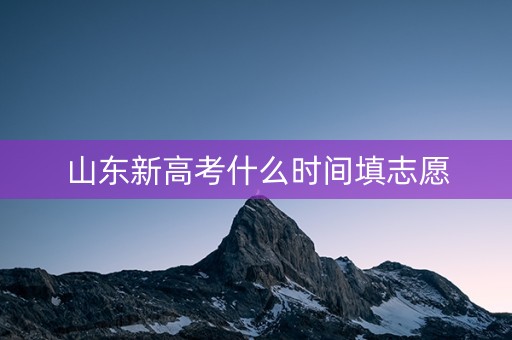 山东新高考什么时间填志愿