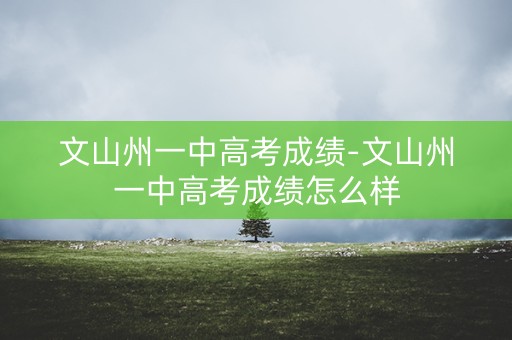 文山州一中高考成绩-文山州一中高考成绩怎么样