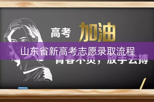 山东省新高考志愿录取流程