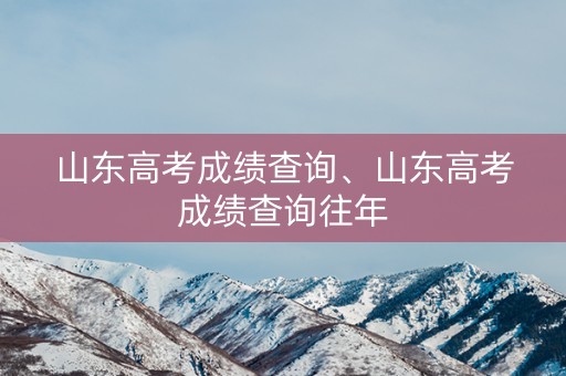 山东高考成绩查询、山东高考成绩查询往年