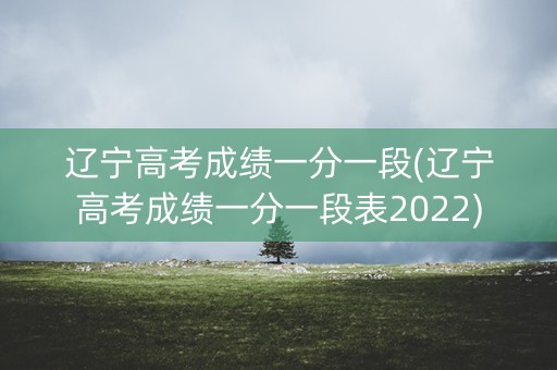 辽宁高考成绩一分一段(辽宁高考成绩一分一段表2022)