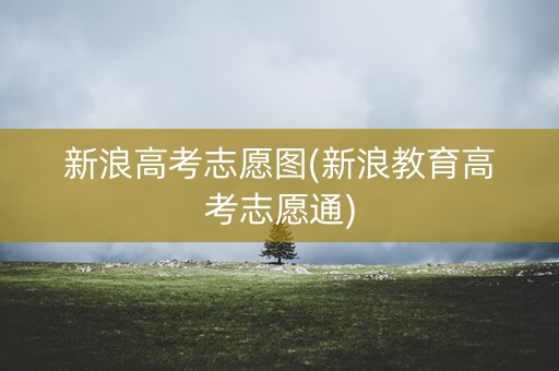 新浪高考志愿图(新浪教育高考志愿通)