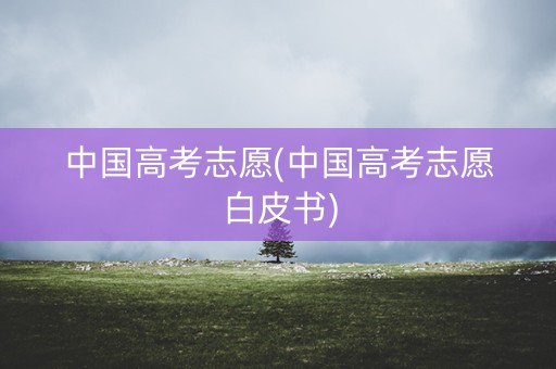 中国高考志愿(中国高考志愿白皮书)