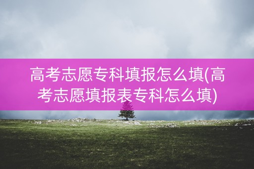 高考志愿专科填报怎么填(高考志愿填报表专科怎么填)