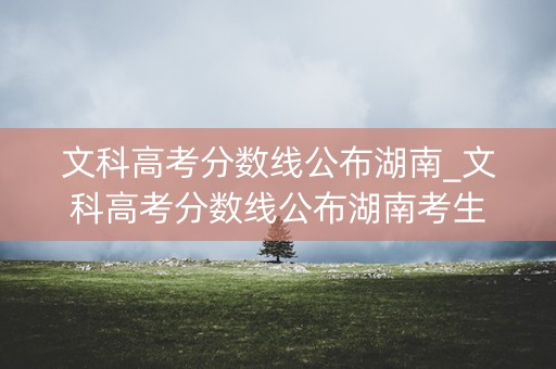 文科高考分数线公布湖南_文科高考分数线公布湖南考生