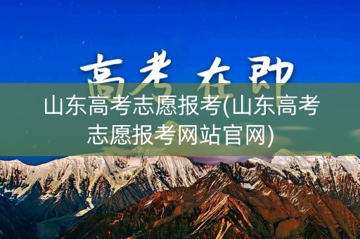 山东高考志愿报考(山东高考志愿报考网站官网)