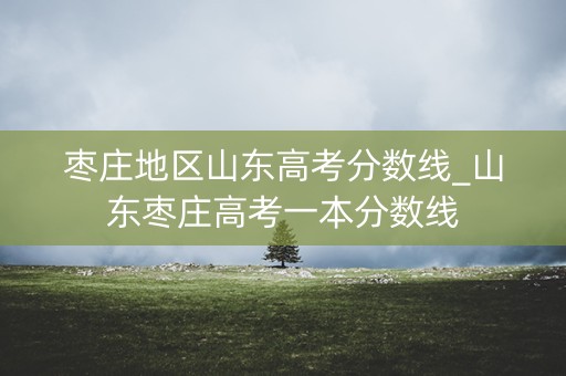 枣庄地区山东高考分数线_山东枣庄高考一本分数线