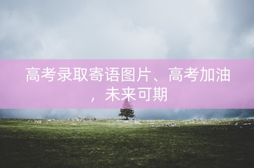 高考录取寄语图片、高考加油，未来可期