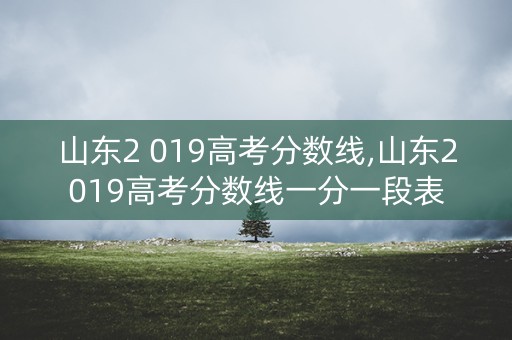 山东2 019高考分数线,山东2019高考分数线一分一段表 山东2 019高考分数线,山东2019高考分数线一分一段表