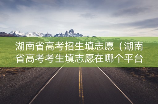 湖南省高考招生填志愿（湖南省高考考生填志愿在哪个平台）