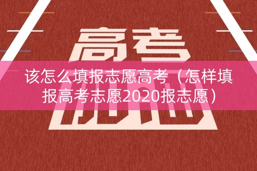 该怎么填报志愿高考（怎样填报高考志愿2020报志愿）