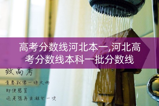 高考分数线河北本一,河北高考分数线本科一批分数线