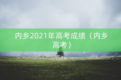 内乡2021年高考成绩（内乡 高考）