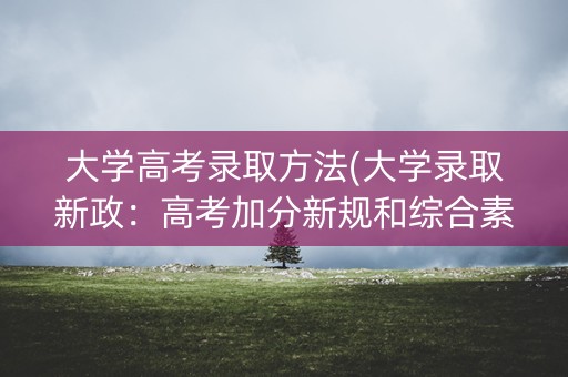 大学高考录取方法(大学录取新政：高考加分新规和综合素质评价系统解析)
