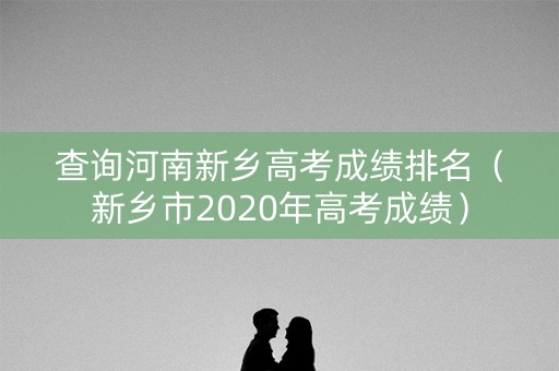 查询河南新乡高考成绩排名（新乡市2020年高考成绩）
