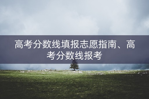 高考分数线填报志愿指南、高考分数线报考