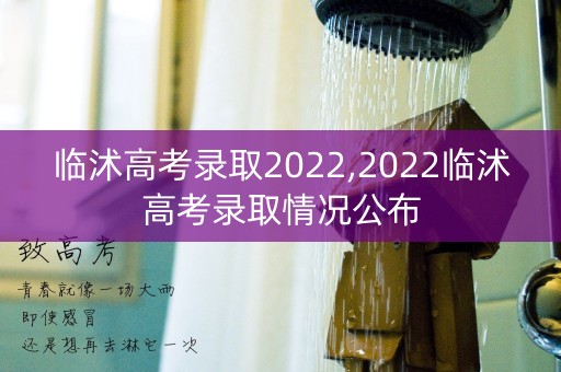 临沭高考录取2022,2022临沭高考录取情况公布