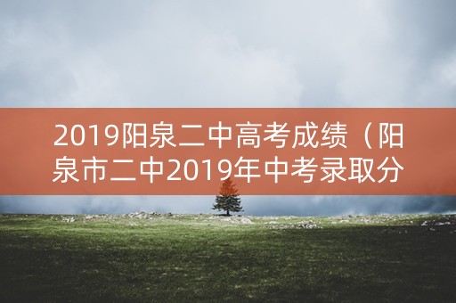 2019阳泉二中高考成绩（阳泉市二中2019年中考录取分数）