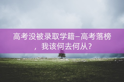 高考没被录取学籍—高考落榜，我该何去何从？