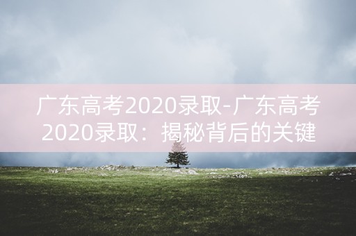 广东高考2020录取-广东高考2020录取:揭秘背后的关键因素 广东高考2020录取-广东高考2020录取:揭秘背后的关键因素