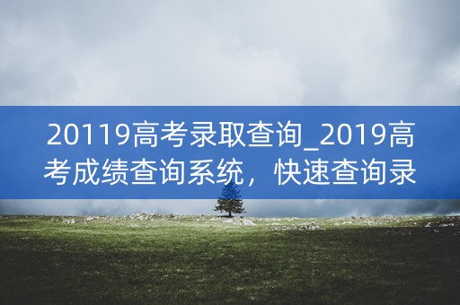 20119高考录取查询_2019高考成绩查询系统，快速查询录取信息