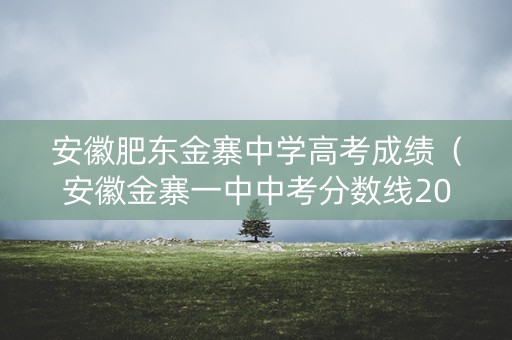 安徽肥东金寨中学高考成绩(安徽金寨一中中考分数线2021) 安徽肥东金寨中学高考成绩(安徽金寨一中中考分数线2021)