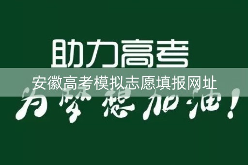 安徽高考模拟志愿填报网址