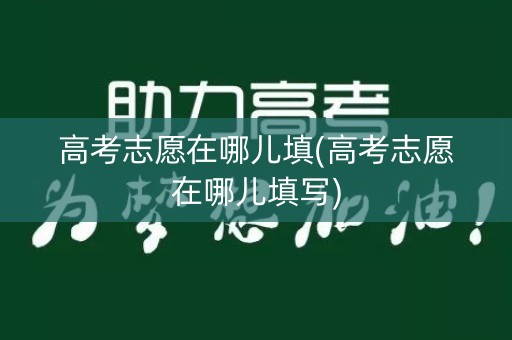 高考志愿在哪儿填(高考志愿在哪儿填写)