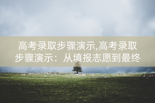 高考录取步骤演示,高考录取步骤演示：从填报志愿到最终录取