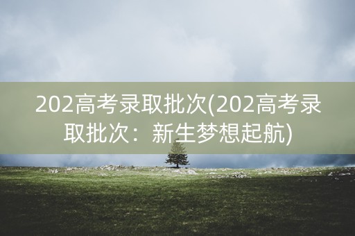 202高考录取批次(202高考录取批次：新生梦想起航)