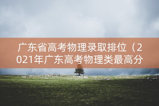 广东省高考物理录取排位（2021年广东高考物理类最高分）