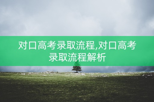 对口高考录取流程,对口高考录取流程解析