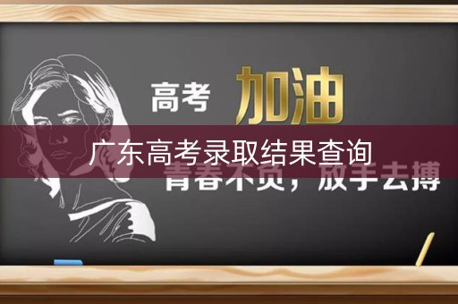 广东高考录取结果查询 广东高考录取结果查询